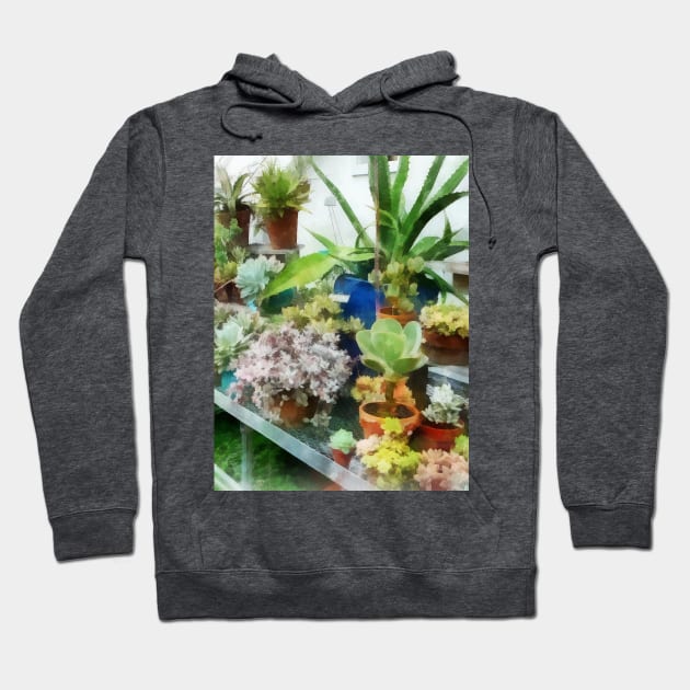 Greenhouse With Cactus Hoodie by SusanSavad